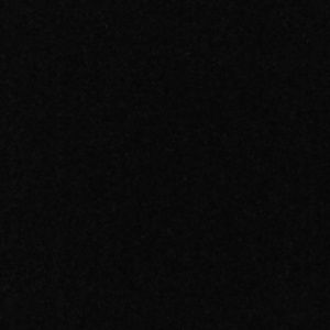 Meet your Posher, Shanna